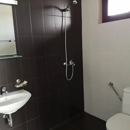 марковската къща *