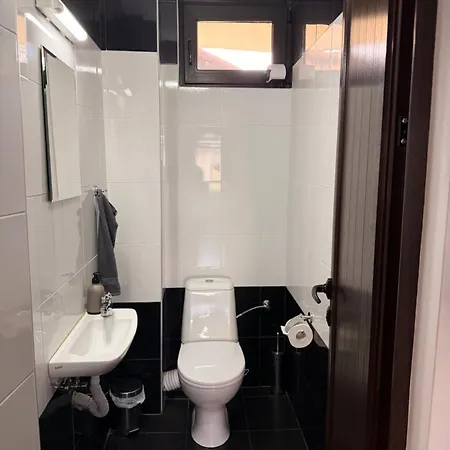 марковската къща *